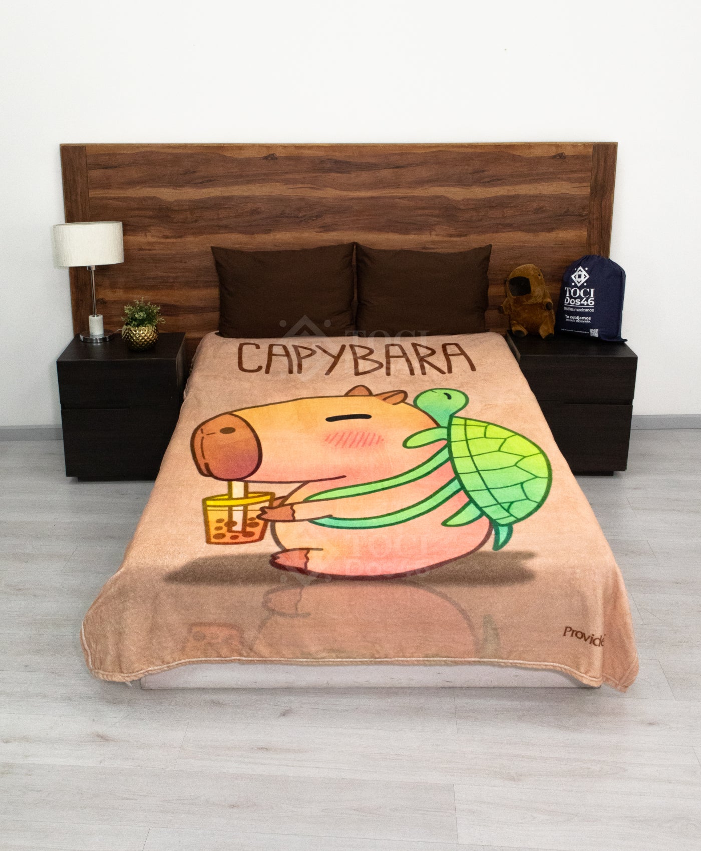 Capibara con Tortuga