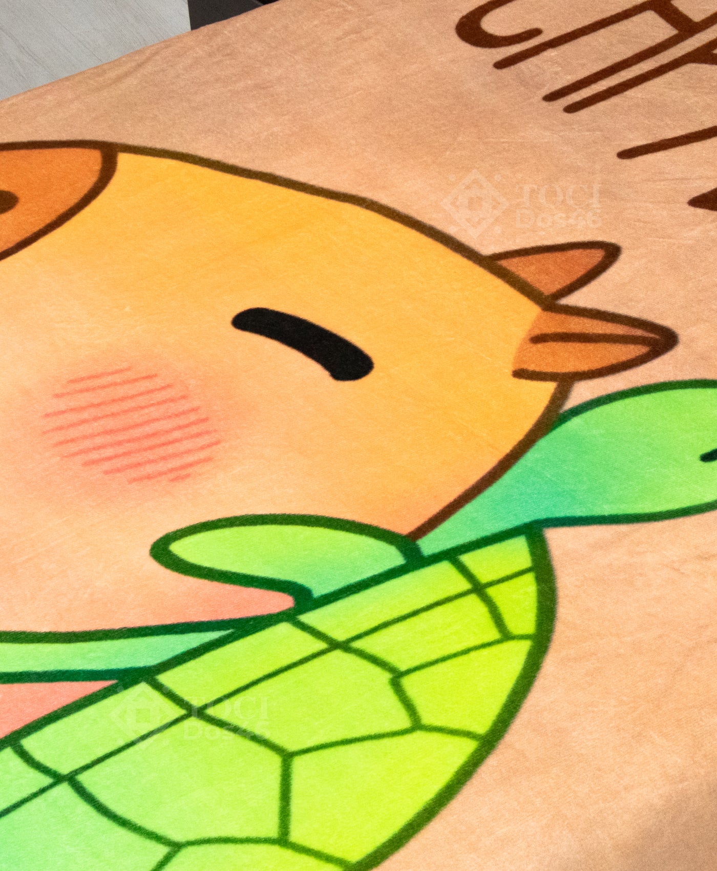 Capibara con Tortuga