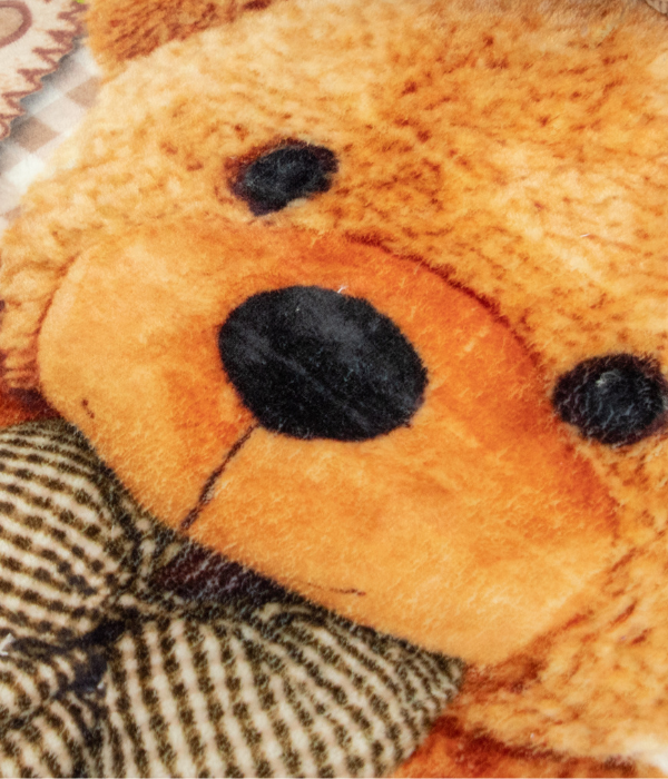 Edredón Cunero Micrograbado Teddy Baby