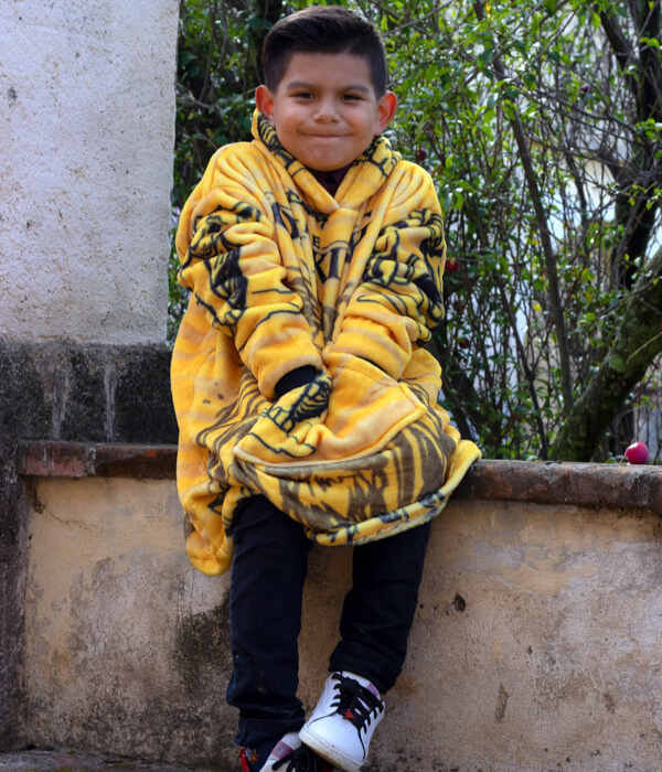 Sudadera Infantil Rey León