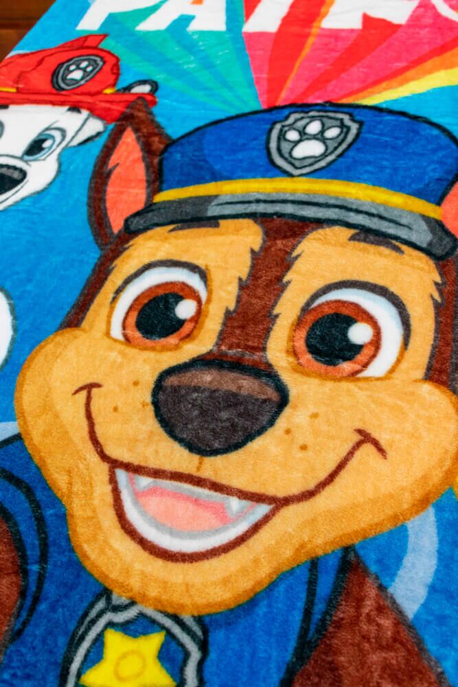 Cobertor Ligero Individual Paw Patrol Amigos Azul